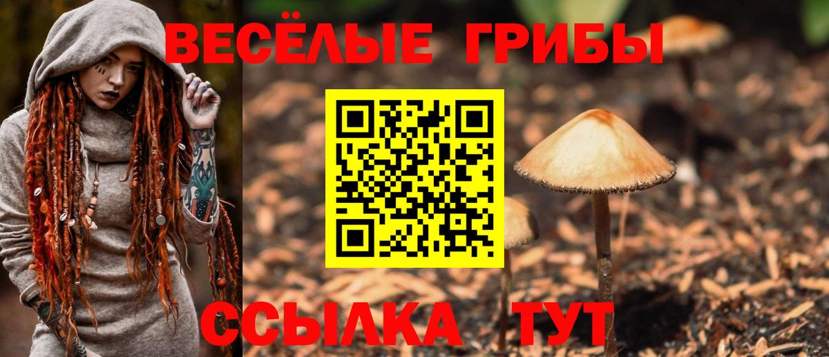 где можно купить наркотик  Вход с VPN  Галлюциногенные грибы мухоморы  Ноябрьск  Псилоцибиновые грибы GOLDEN TEACHER 